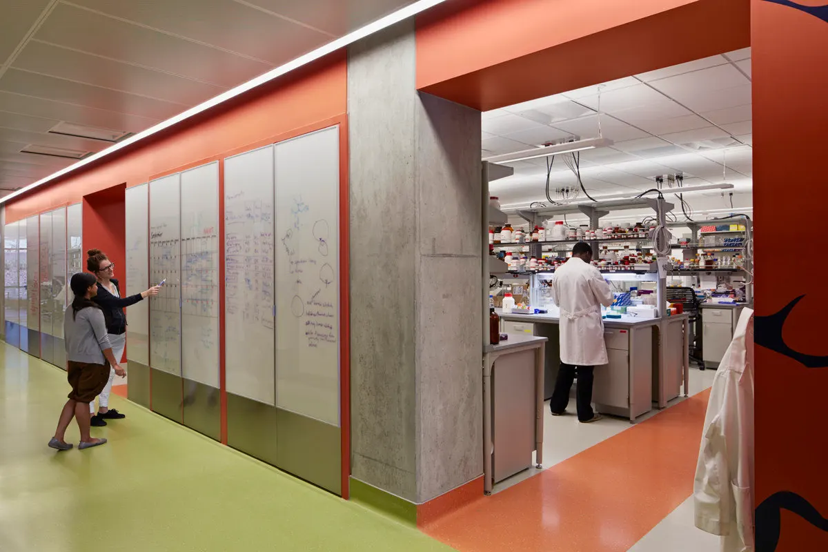 L.S. Skagg's lab space with glass whiteboards and equipment-lined benches.