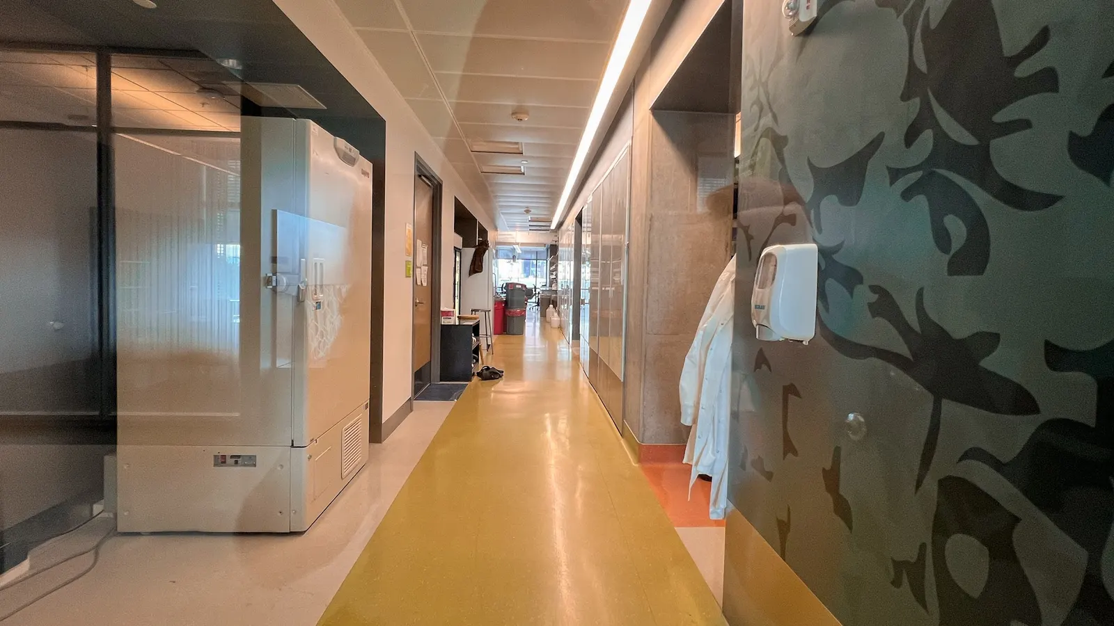 A clean, modern laboratory corridor featuring a yellow floor path, large equipment like ultra-low temperature freezers, glass partitions, and lab coats hanging along the wall.