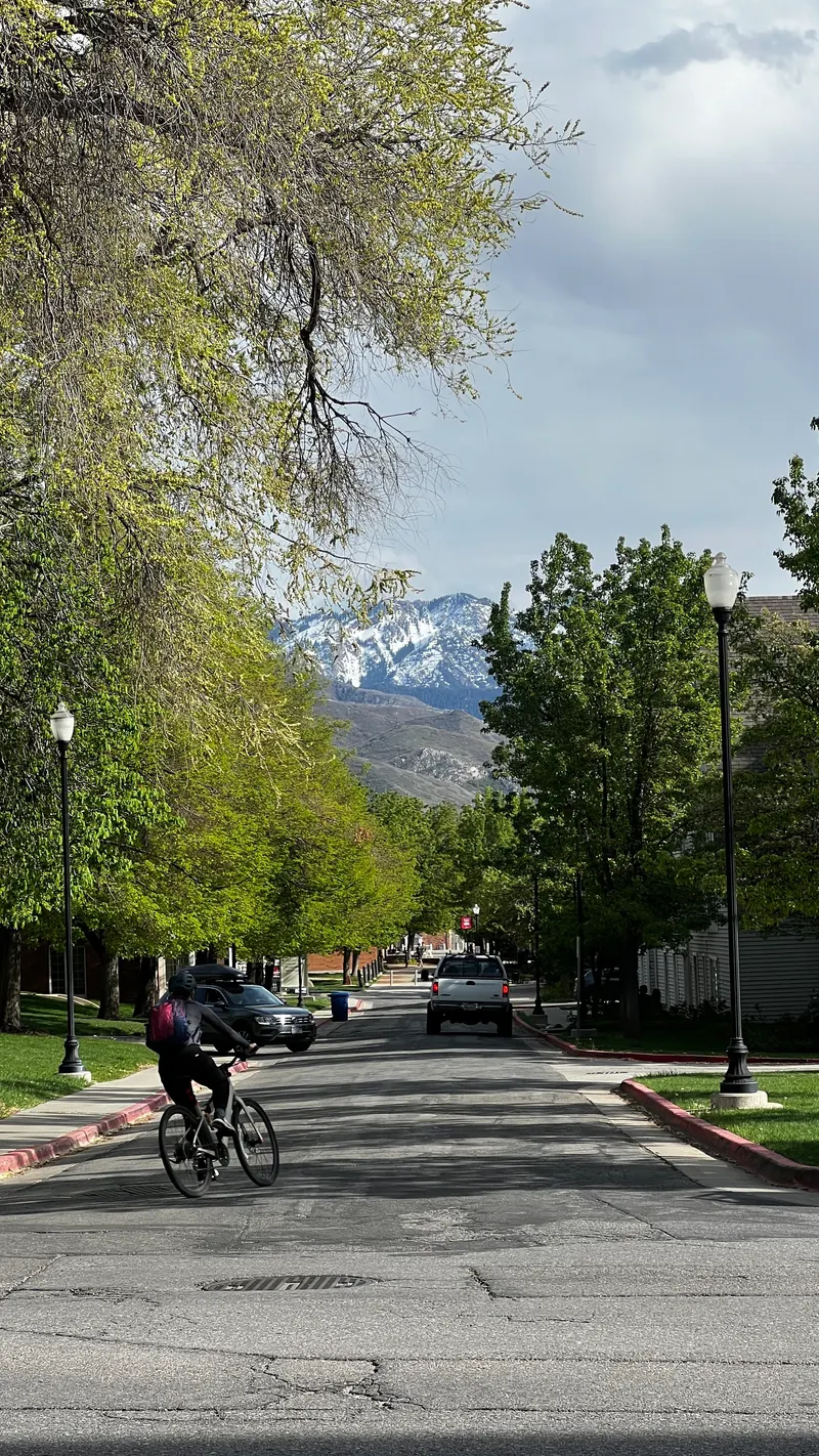 A cyclist riding down a tree-lined street with cars and snow-capped mountains visible in the distance.